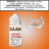 TDaawg Orange Dream 100ml Excised